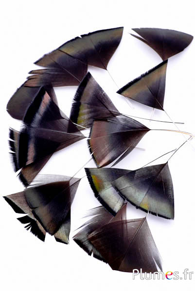 Pétales en plumes - 6-8 x 3-4 cm - naturel